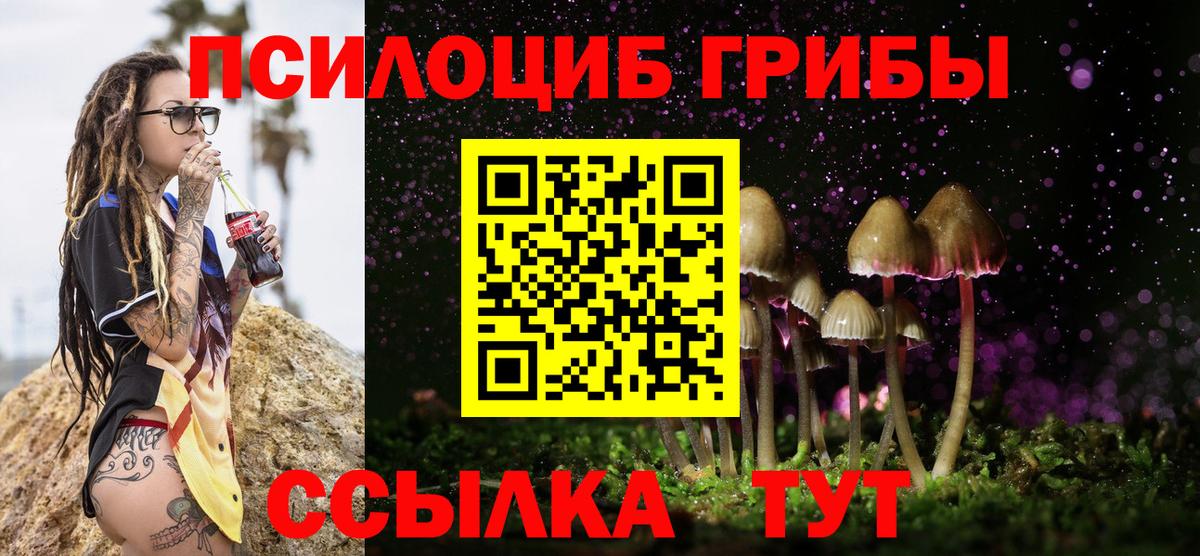 купить наркоту  Вход с VPN  Галлюциногенные грибы мухоморы  Коломна  Галлюциногенные грибы GOLDEN TEACHER 